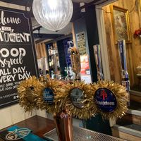 Bar and cat at The Monument in Canterbury