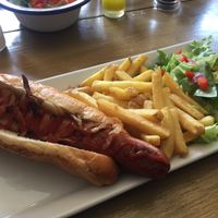 Monument Dog! at The Monument in Canterbury