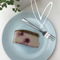 Vegan Cheese cake  at Wholegrain Organics in Palmerston North