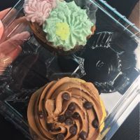 Cupcakes  at Skull & Cakebones in Dripping Springs