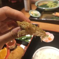 Vege nugget at Yosiya in Kyoto