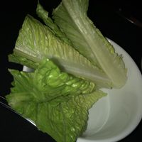 Lettuce  at The Refuge  in Melville