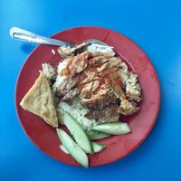 ‘Chicken’ rice with an additional piece of tofu at ITE College Central Vegetarian Stall  in Northeast Singapore