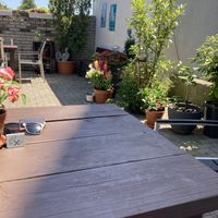 Außenbereich at Cookie's Veggies in Dorsten