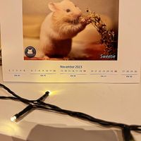   at Cookie's Veggies in Dorsten