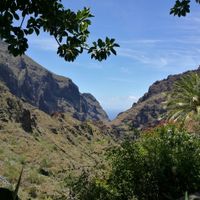 View from our table!  at El Guanche "Alte Schule" in Tenerife