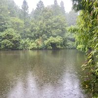 Views on a rainy summer day  at The Lakeside Veggie in Hangzhou