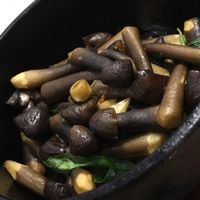 九层塔鸡枞菌 Sautéed Yunnan wild mushrooms w Thai basil at The Lakeside Veggie in Hangzhou
