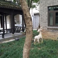 Courtyard in front of restaurant at The Lakeside Veggie in Hangzhou
