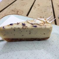 tiny but delicious raw lemon vegan cheesecake  at Vondelpark3 in Amsterdam