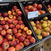 apples  at Karo Bio Markt in Schwerin