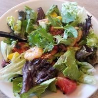 Small Avocado Prawn at Dean & David - Karl Liebknecht in Berlin