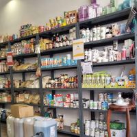  at Vegana By Tentúgal in Porto