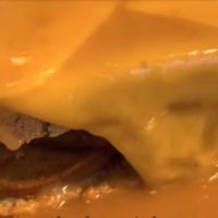 Francesinha #Veganuary at Vegana By Tentúgal in Porto