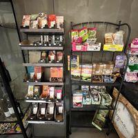 Chocolates  at Vegana By Tentúgal in Porto