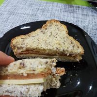 Toasted ham and cheese sandwich at Vegana By Tentúgal in Porto