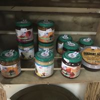 April 2018 at Vegana By Tentúgal in Porto