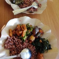 Red rice with side dishes at Suka Cita Vegetarian in Tangerang