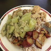 3 different fake meat dishes and a fake meat and potato green curry - costed 40 baht  at Tien Sieng Vegetarian Foods in Chiang Mai