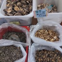 Dried mushrooms at Everspring Health Food in Cabramatta