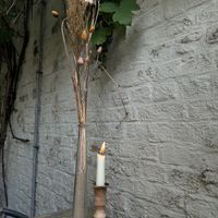 outdoor  at Simone's Kitchen in Antwerpen