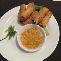 Spring rolls  at Ohana in Jaco