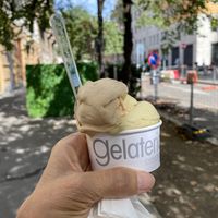 Pistachio and hazelnut! Vegan and delicious !  at Gelateria Concordia in Milan
