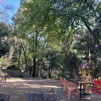 Garden   at Trimutri in Dharamkot