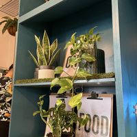 athmosphere  at Cafe Green Bakery in Madrid