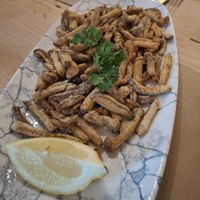  at La Casa Viva in Tavernes De La Valldigna