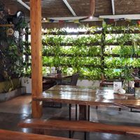 Decor at Wild Tribe Cafe in Koh Samui