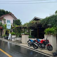  at Wild Tribe Cafe in Koh Samui