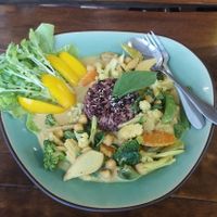 Gelbes Curry at Wild Tribe Cafe in Koh Samui