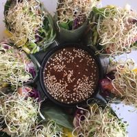 Fresh spring rolls at Wild Tribe Cafe in Koh Samui