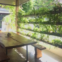 Wild Tribe at Wild Tribe Cafe in Koh Samui