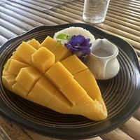   at Wild Tribe Cafe in Koh Samui