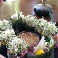 Rice paper rolls  at Wild Tribe Cafe in Koh Samui