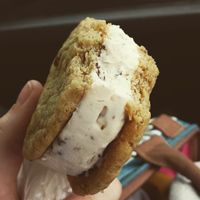 Vegan little jim ice cream sandwich: chocolate chip with goji berry and nuts at The Daily Beet - Girod St in New Orleans