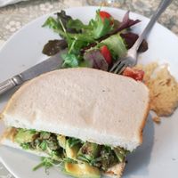 Falafel and Hummus sandwich at The Fuchsia Caffe in Tenby
