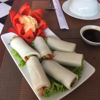 pho roll at Spring Lotus - Duong Sinh Chay in Hanoi