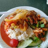 Chicken Rice with added curry vegetables at Xiang Yuan in Central Singapore