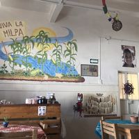 Cozy  at Suwa Restaurante Vegano in Queretaro