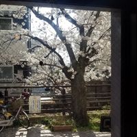 view from restaurant at Cafe Loop in Kawasaki