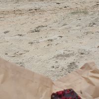 Chocolate slice, and short walk to the beach from Cafe at Two Feet First in Chelsea