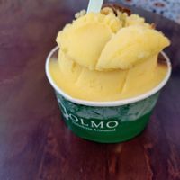 Passionfruit and chocolate sorbet at OLMO Heladería Artesanal in Sevilla