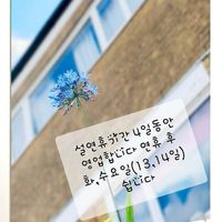  at Bitgaram Vegan Buffet 빛가람채식뷔페" in Chungju
