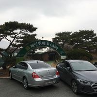This is it at Bitgaram Vegan Buffet 빛가람채식뷔페" in Chungju