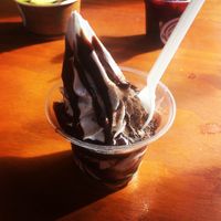 Yum at I Should Coco Ice Cream in Brisbane