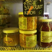 Kimchi, Kombucha, sauerkraut, hummus... at Moringa Fresh and Wild  in Puerto Escondido