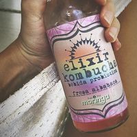 Great kombucha! at Moringa Fresh and Wild  in Puerto Escondido